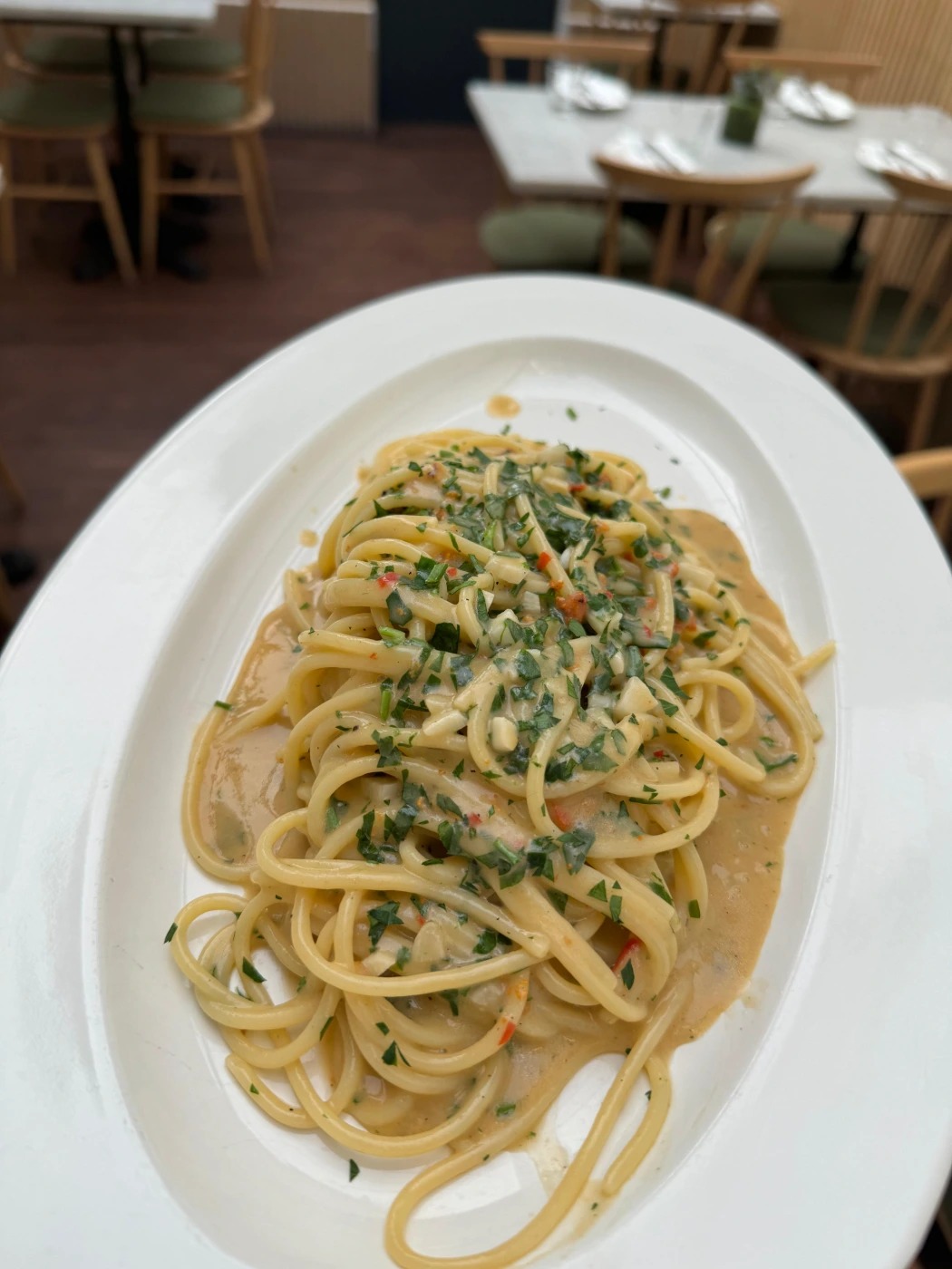 WhatsApp Image 2026-01-04 at 16.02.04.jpeg