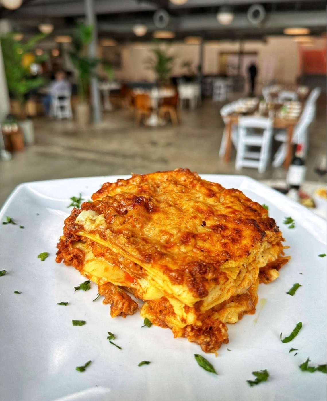 IMG_5981.jpeg IMG_5981.jpeg