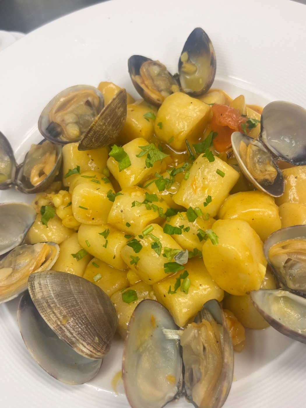 IMG_4625.jpeg IMG_4625.jpeg