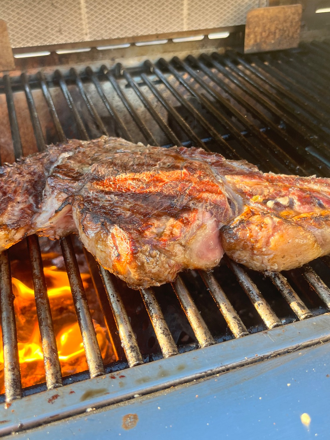 IMG_1784.jpeg IMG_1784.jpeg