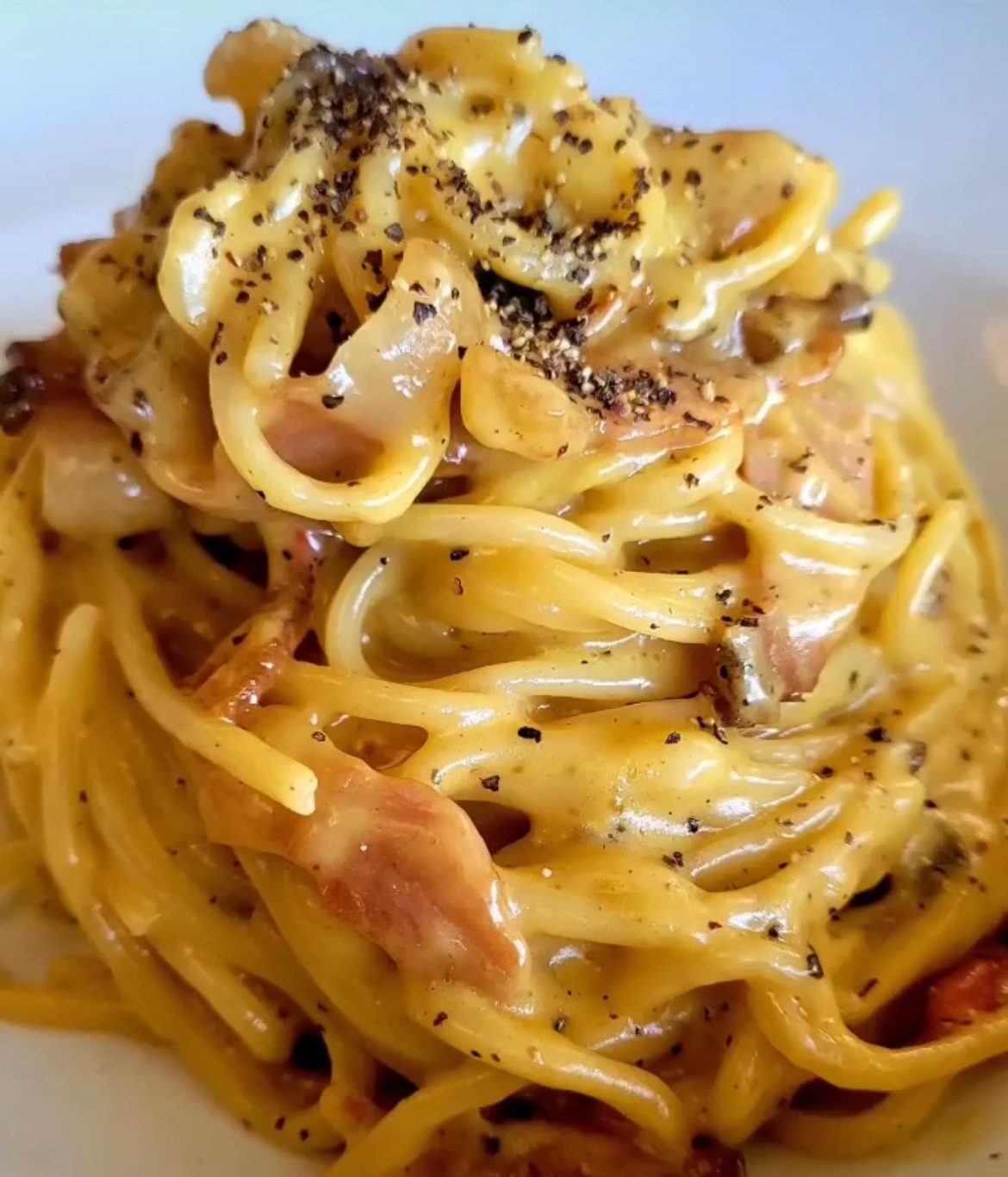 IMG_0220.jpeg IMG_0220.jpeg