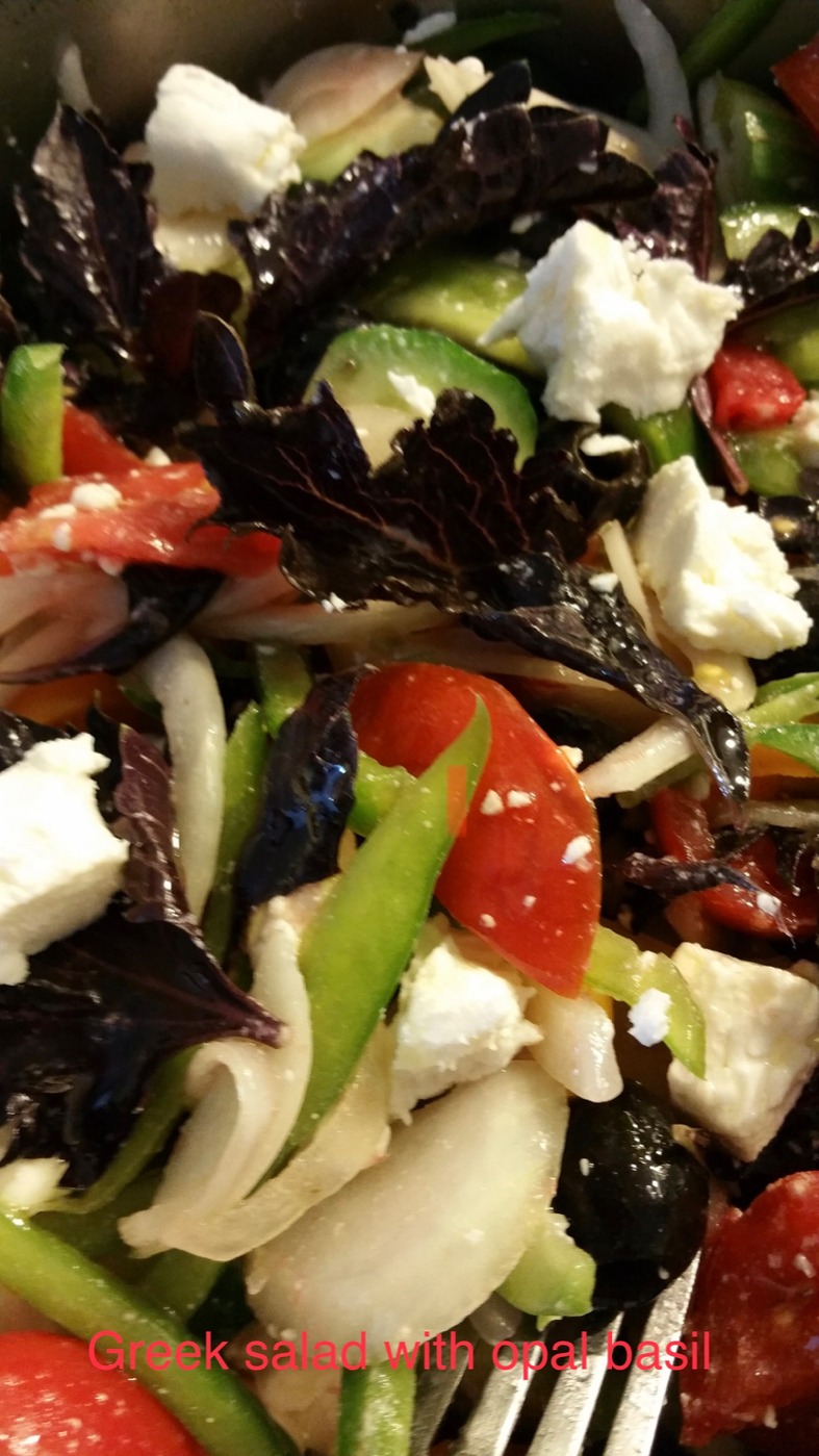 20150704_201402.jpeg 20150704_201402.jpeg