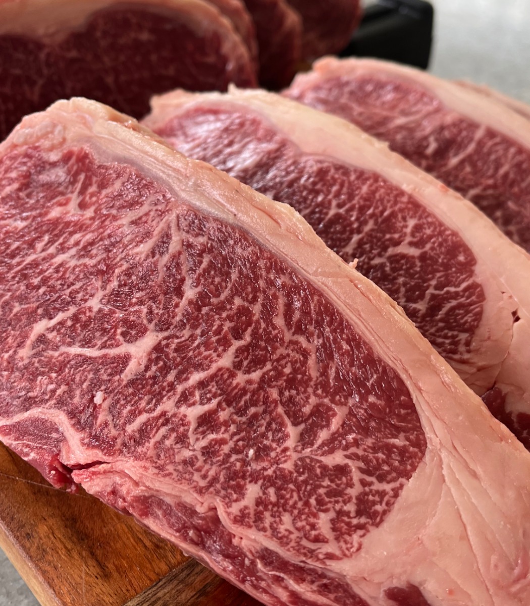 IMG_6229.jpeg IMG_6229.jpeg