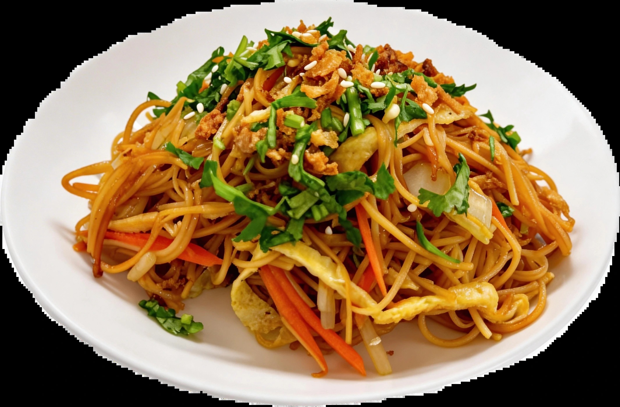 nouilles sautées new.png