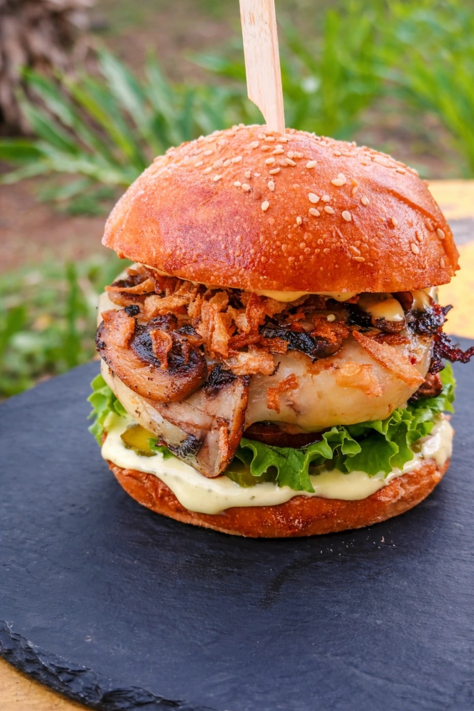 1000484069.png 1000484069.png