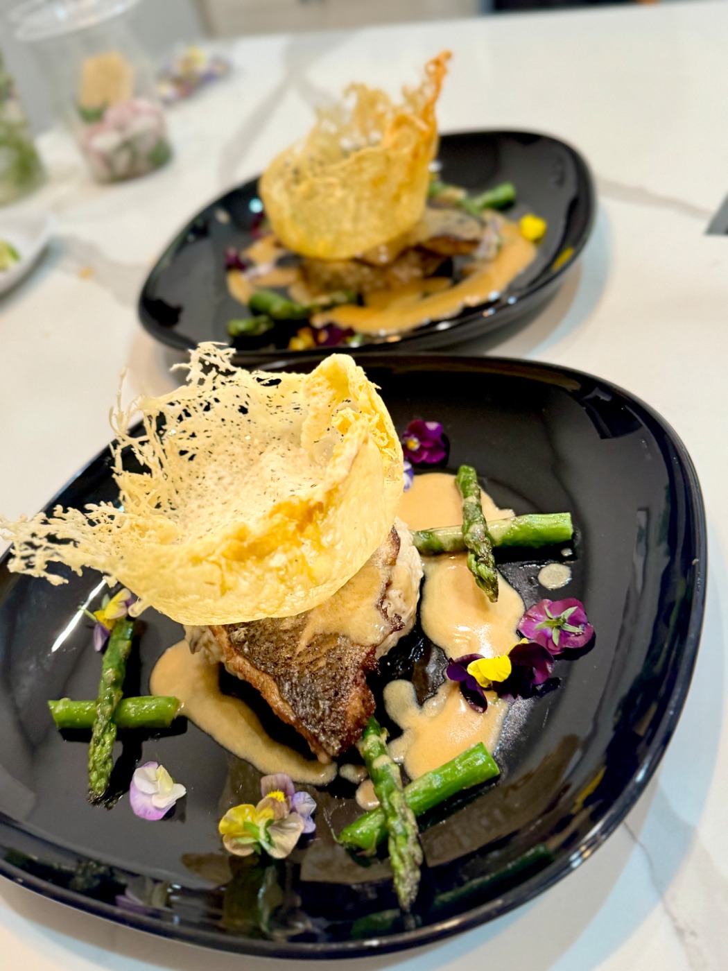 tempImageWlahpm.jpg tempImageWlahpm.jpg