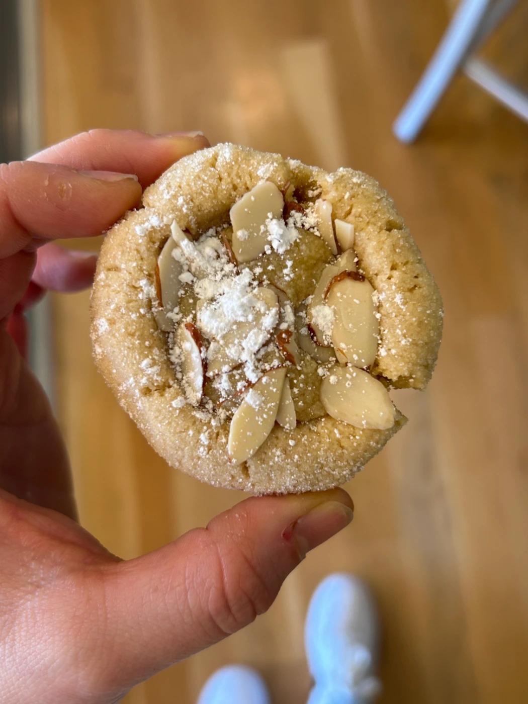 IMG_2823.jpeg IMG_2823.jpeg