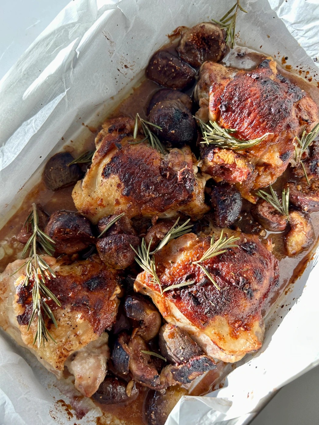 IMG_9931.jpeg IMG_9931.jpeg