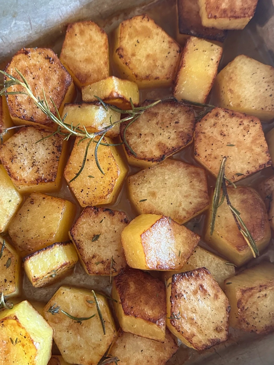 IMG_9709.jpeg IMG_9709.jpeg