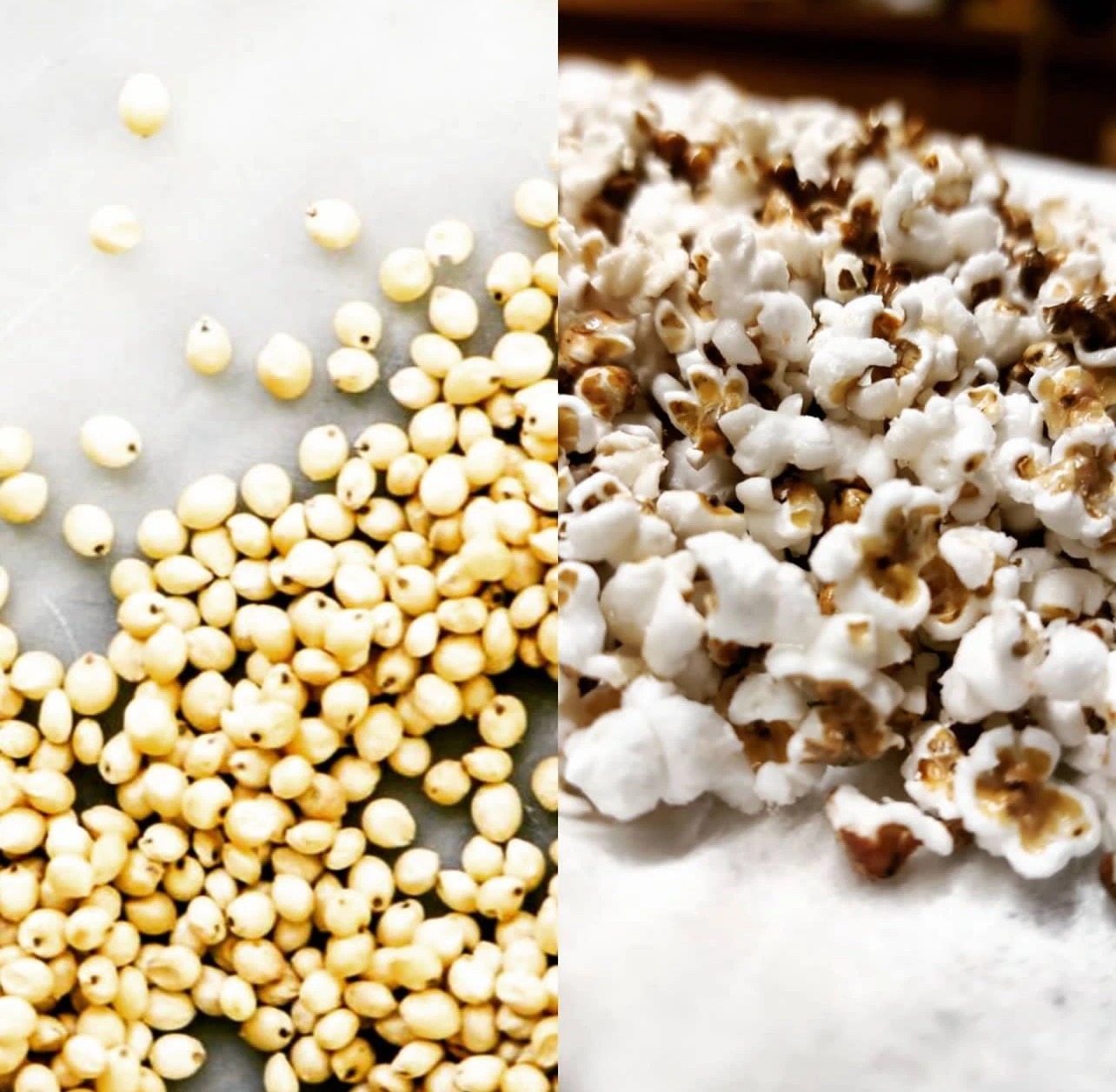 Popped_Sorghum_IMG_0101.png Popped_Sorghum_IMG_0101.png