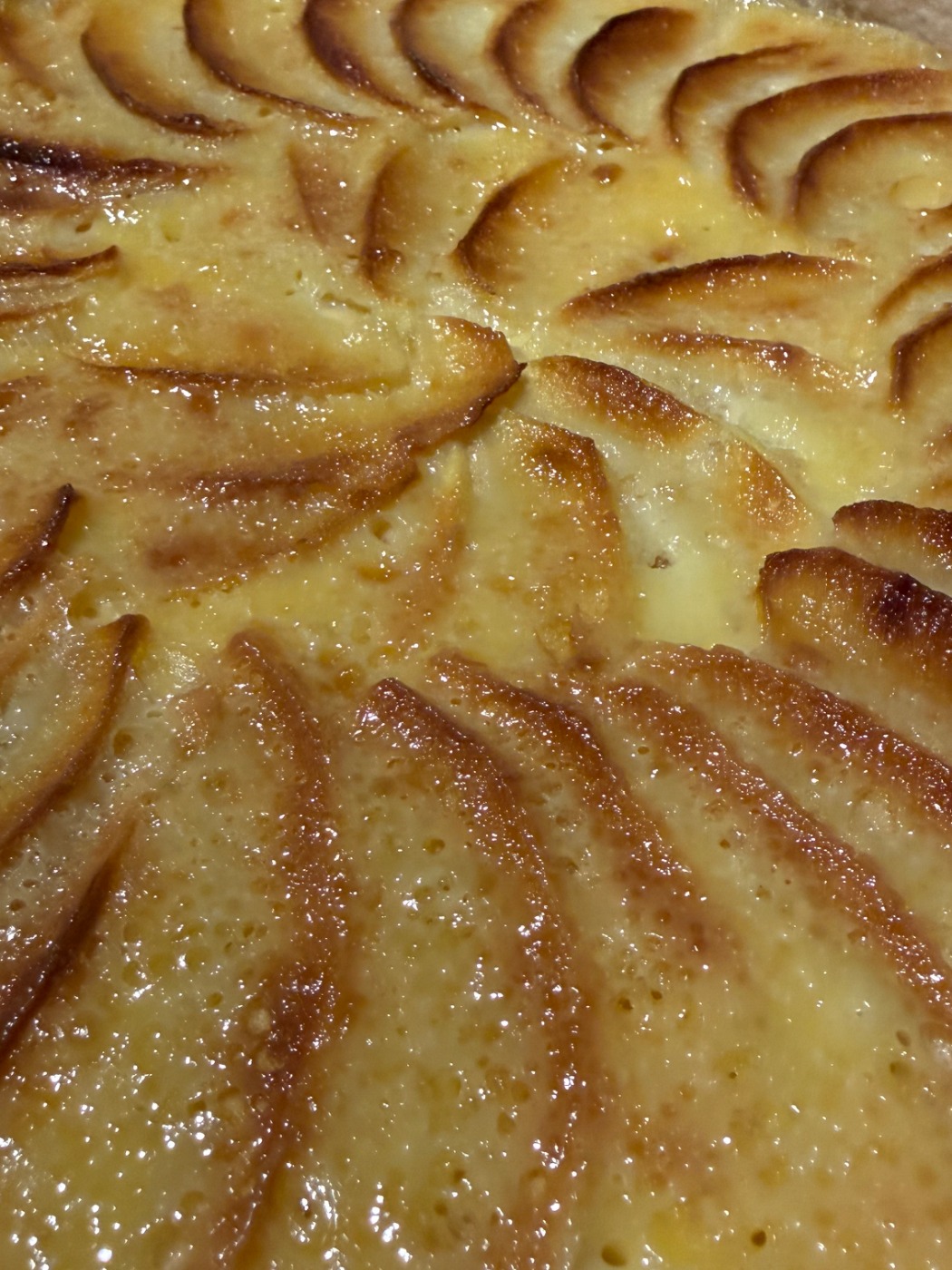 IMG_9552.jpeg IMG_9552.jpeg