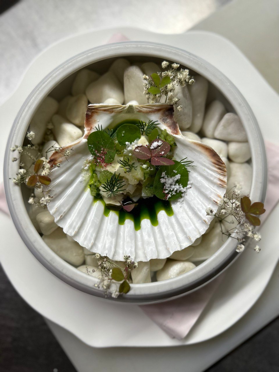 IMG_0243.jpeg IMG_0243.jpeg