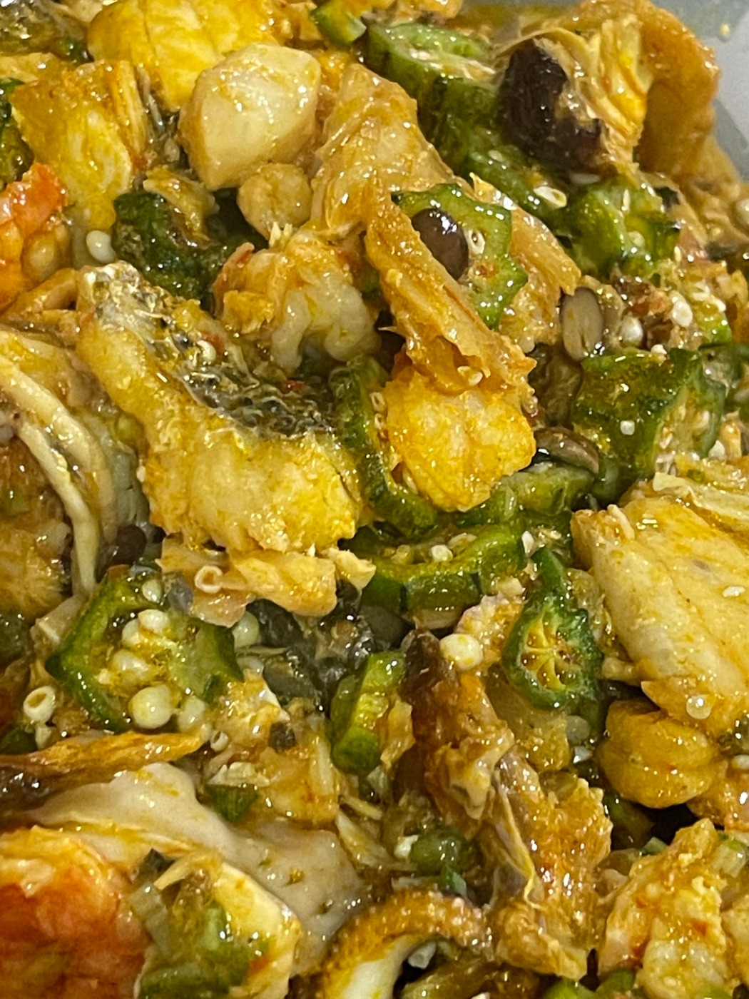 IMG_9598.jpeg IMG_9598.jpeg