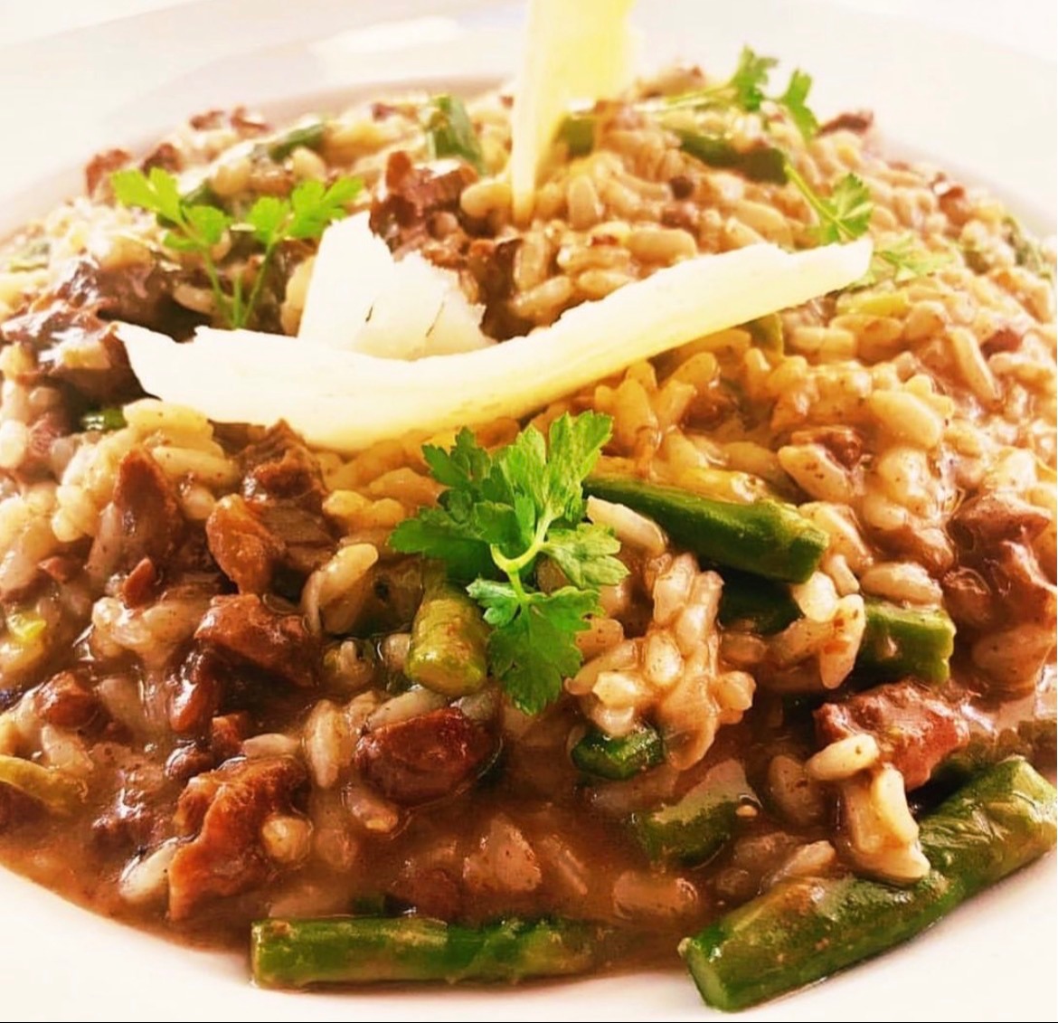 IMG_8446.jpeg IMG_8446.jpeg