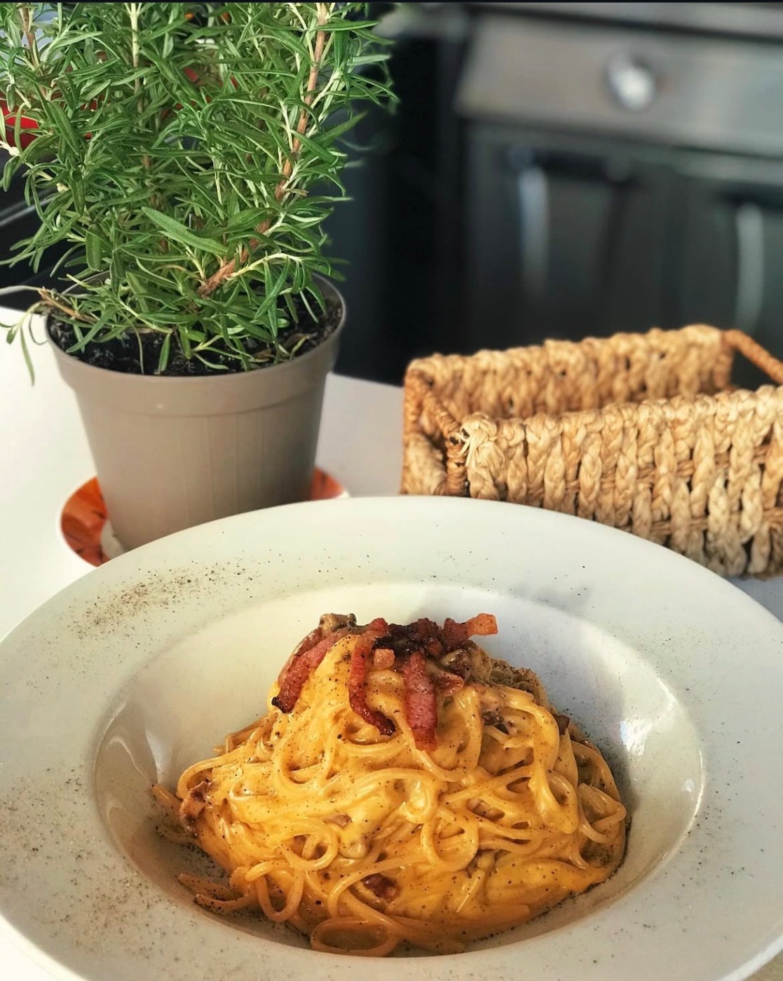 IMG_8450.jpeg IMG_8450.jpeg