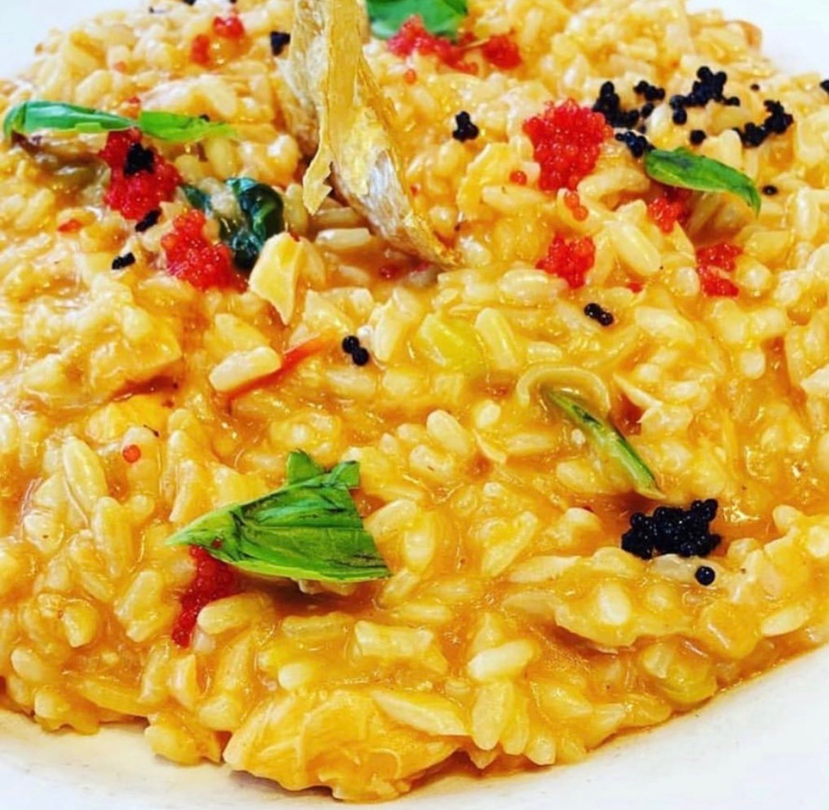 IMG_8451.jpeg IMG_8451.jpeg