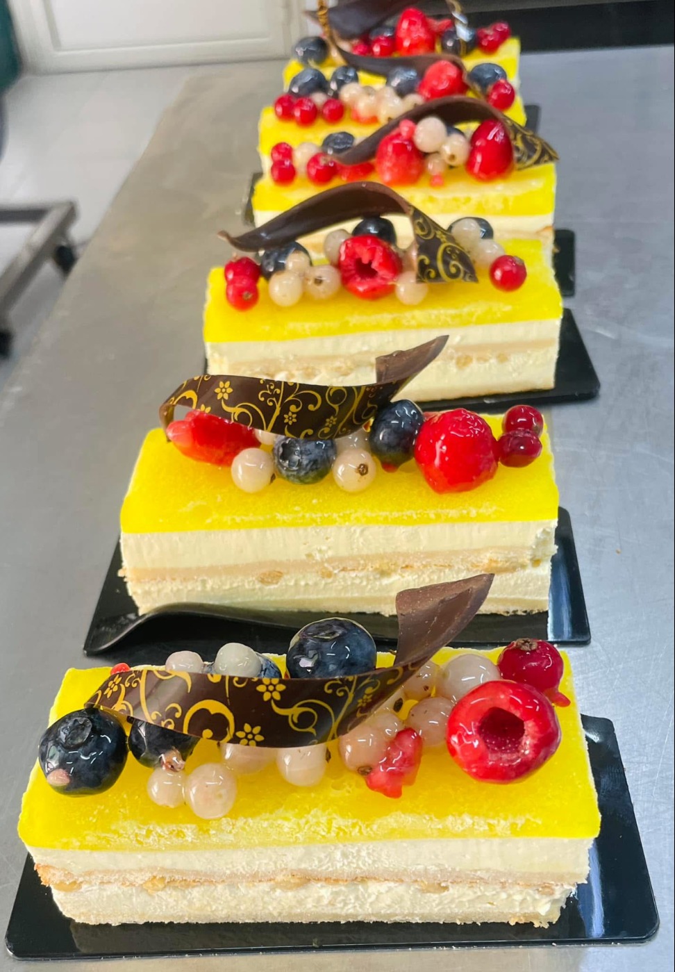 IMG_5207.jpeg IMG_5207.jpeg