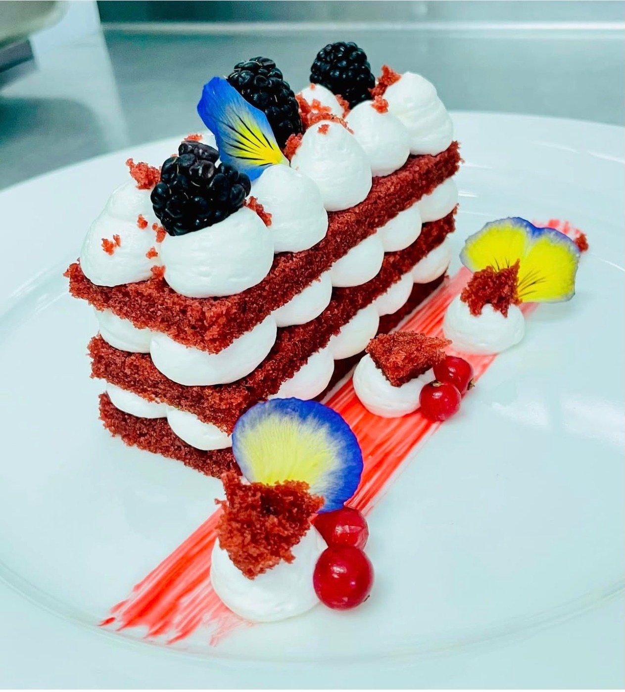 IMG_4220.jpeg IMG_4220.jpeg