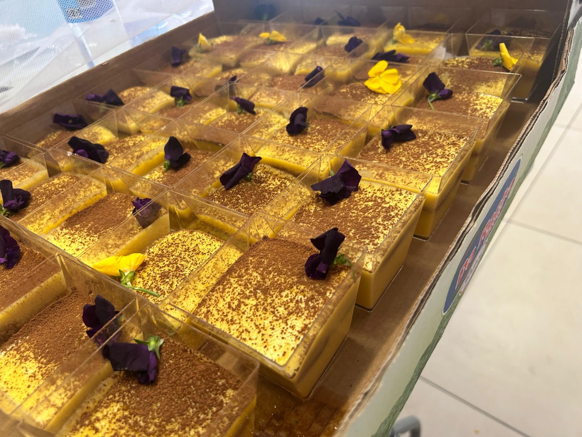 WhatsApp Image 2026-03-16 at 11.15.59 PM.jpeg