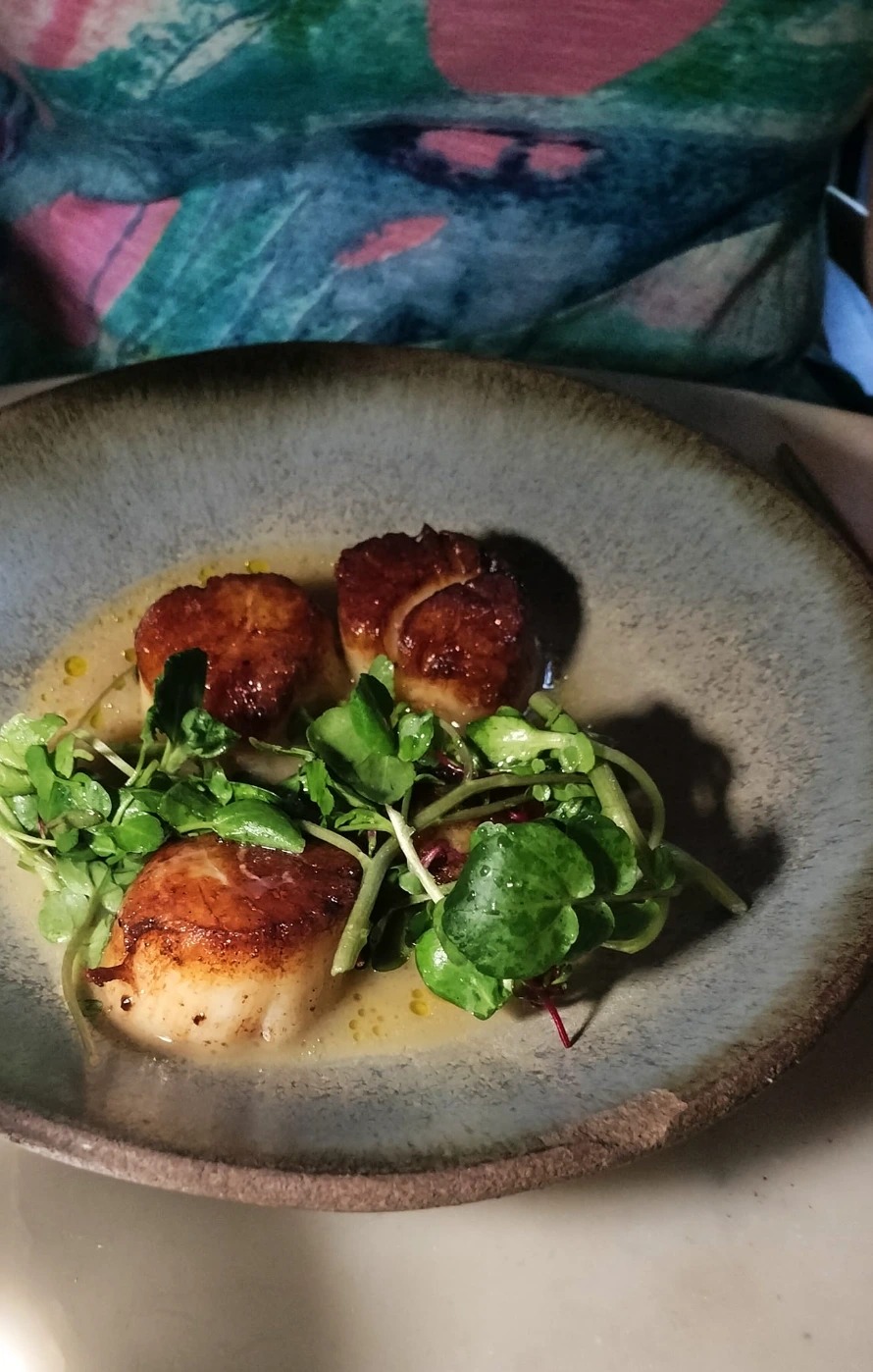 518464939_10116132949197498_574529735664462507_n.jpg 518464939_10116132949197498_574529735664462507_n.jpg