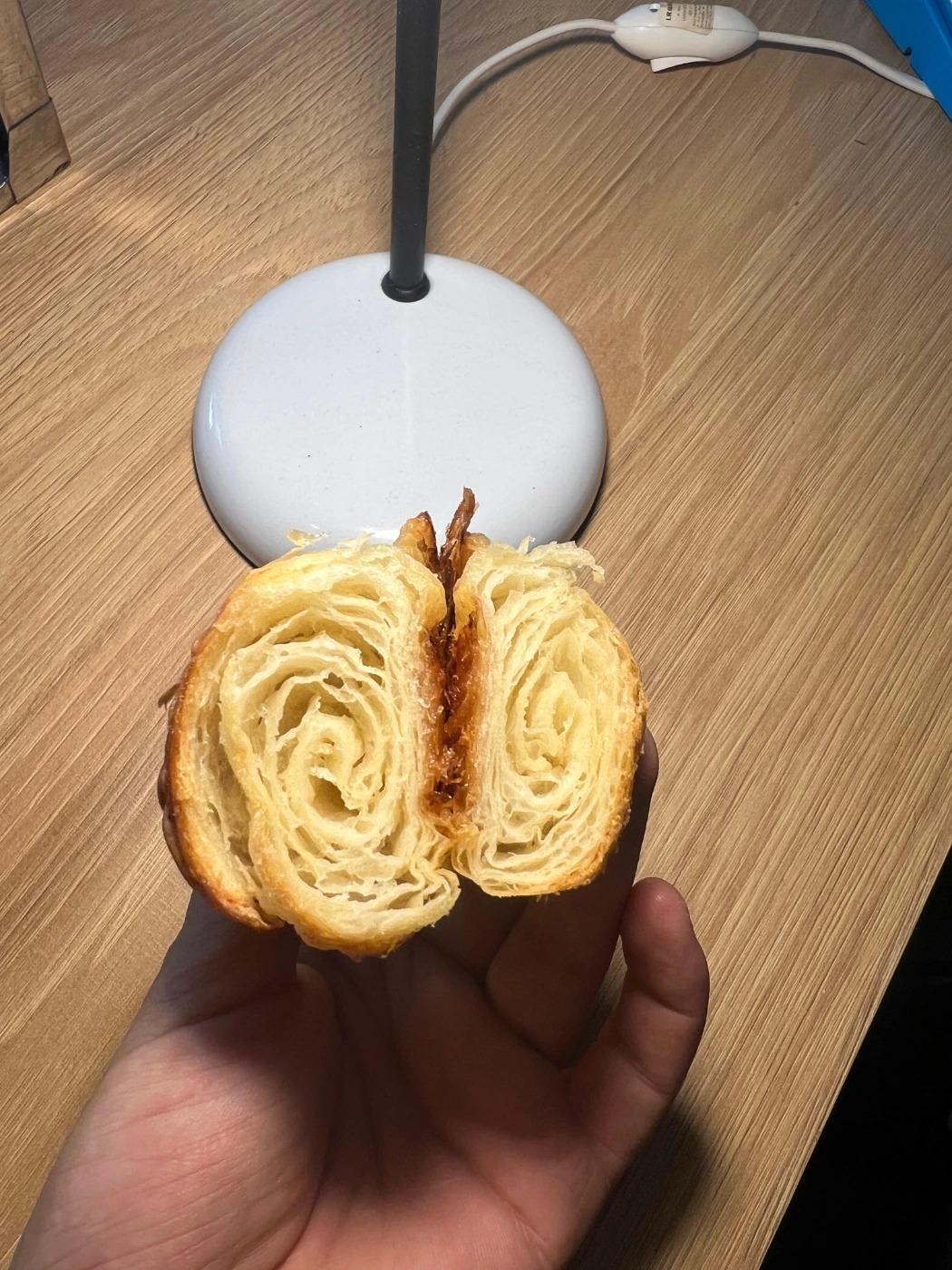 WhatsApp Image 2026-03-17 at 11.05.47 AM.jpeg