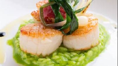 Scallops - Copy.jpg Scallops - Copy.jpg