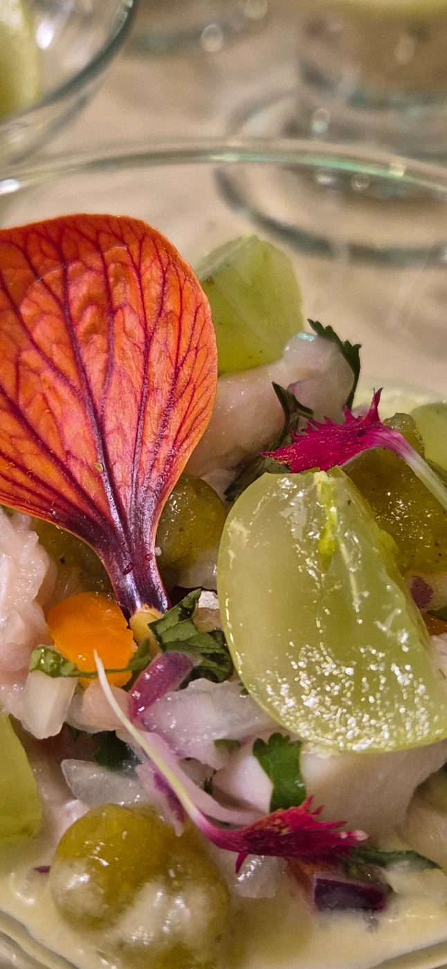 20260225_184554.jpg 20260225_184554.jpg