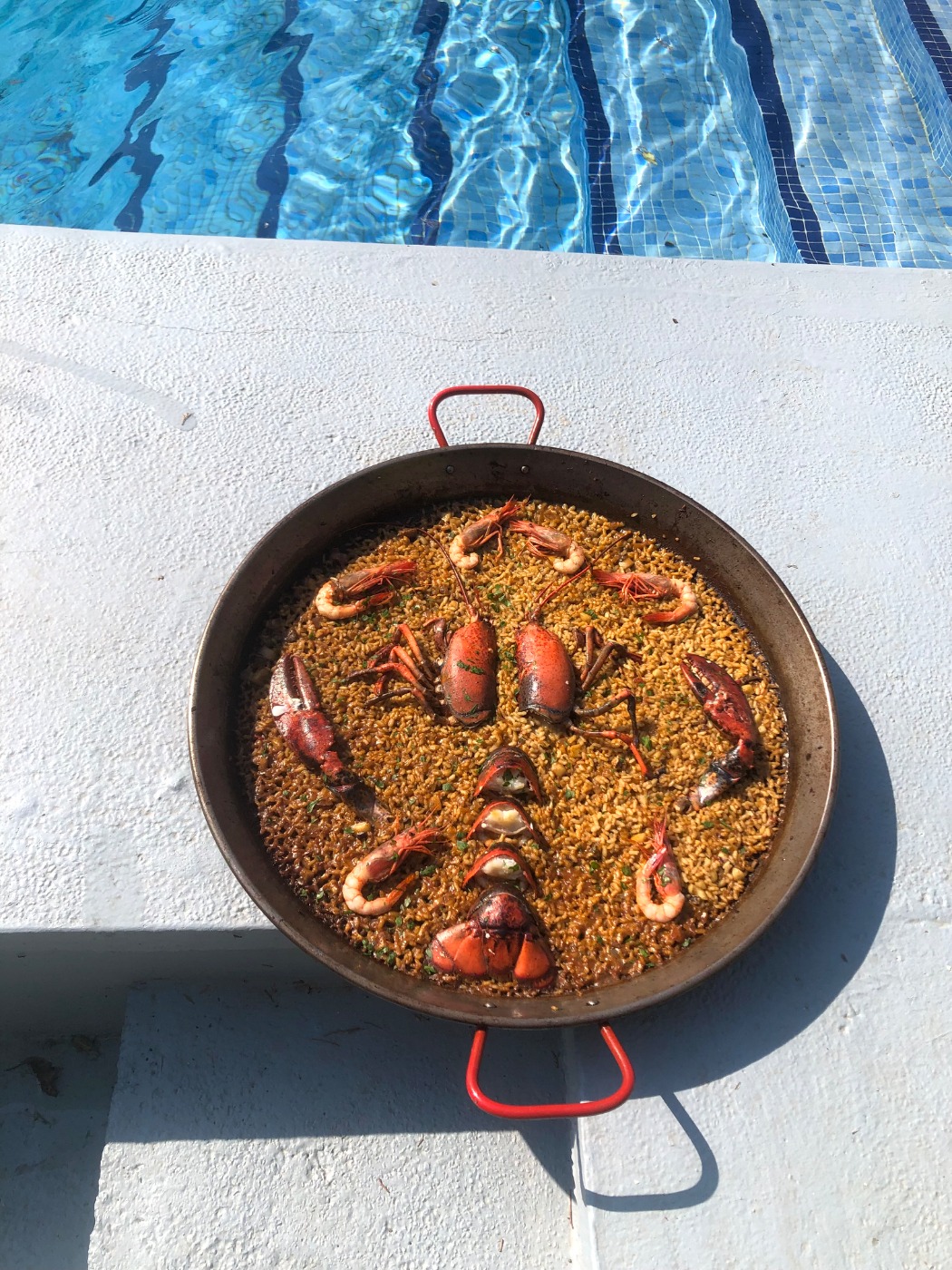 IMG_2726.jpeg IMG_2726.jpeg