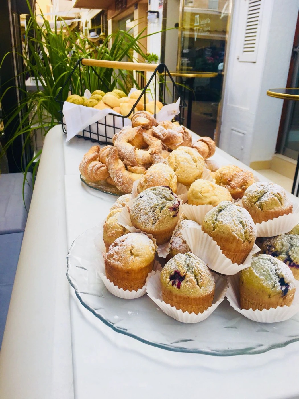 IMG-20180715-WA0032.jpg IMG-20180715-WA0032.jpg