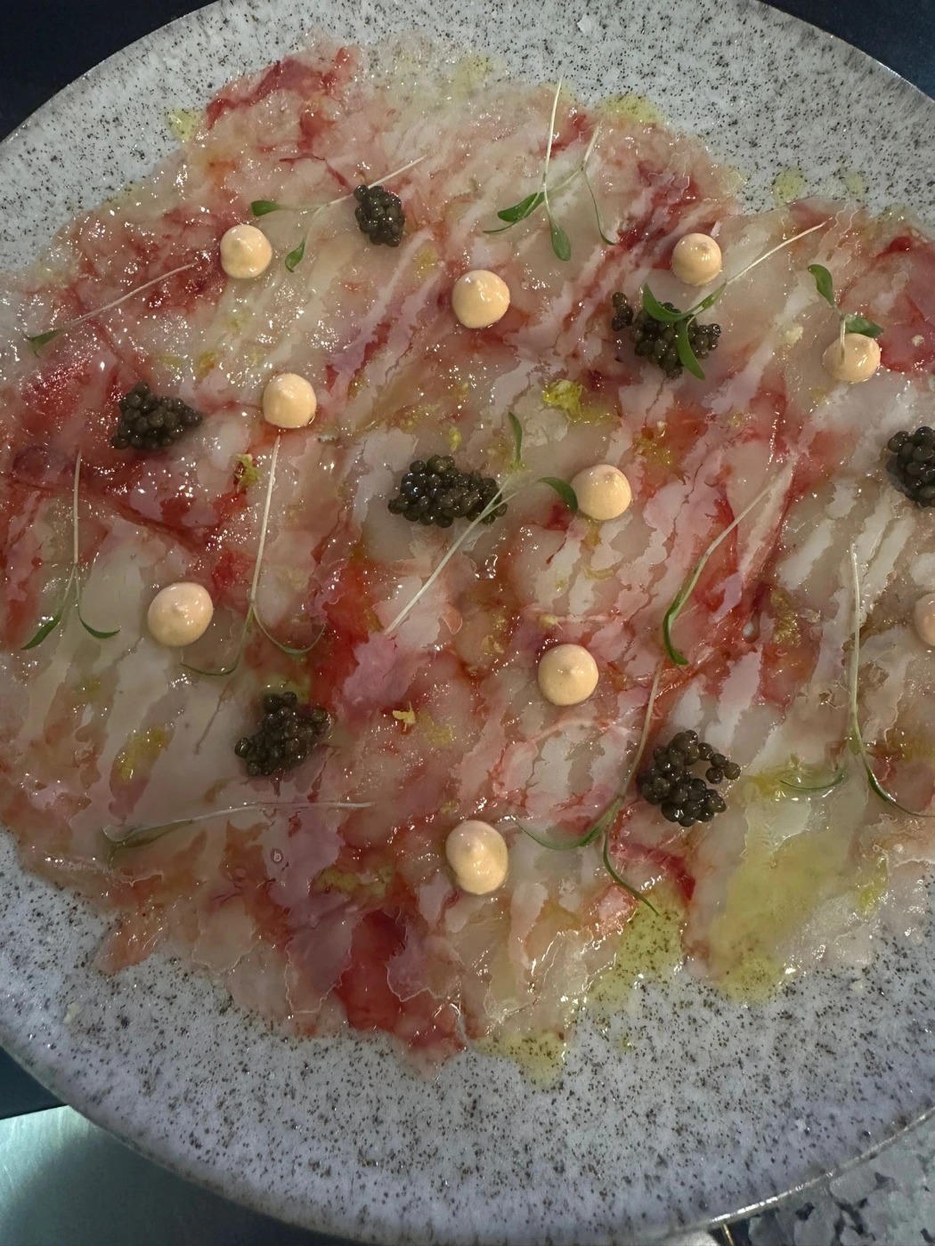 WhatsApp Image 2026-03-20 at 19.41.33.jpeg