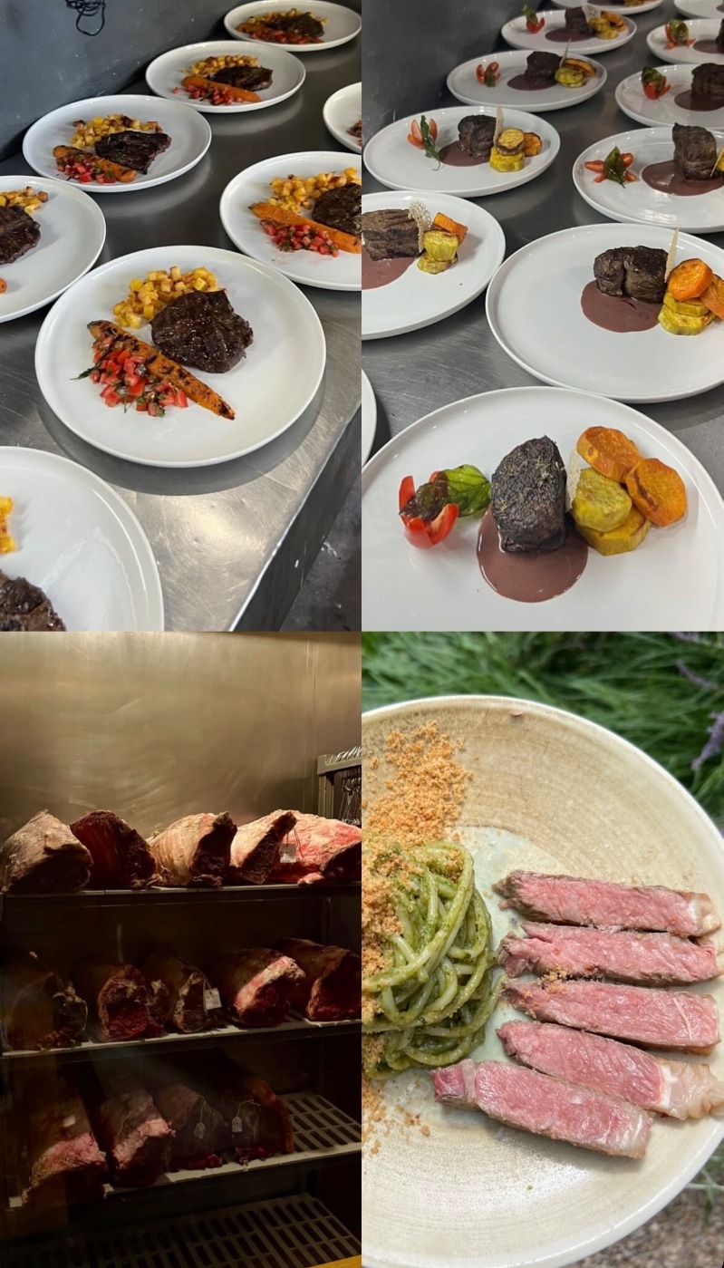 IMG_3038.jpeg IMG_3038.jpeg