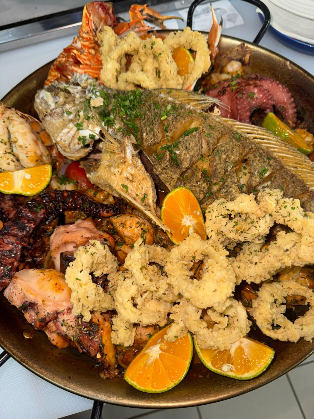 1000040150.jpeg 1000040150.jpeg