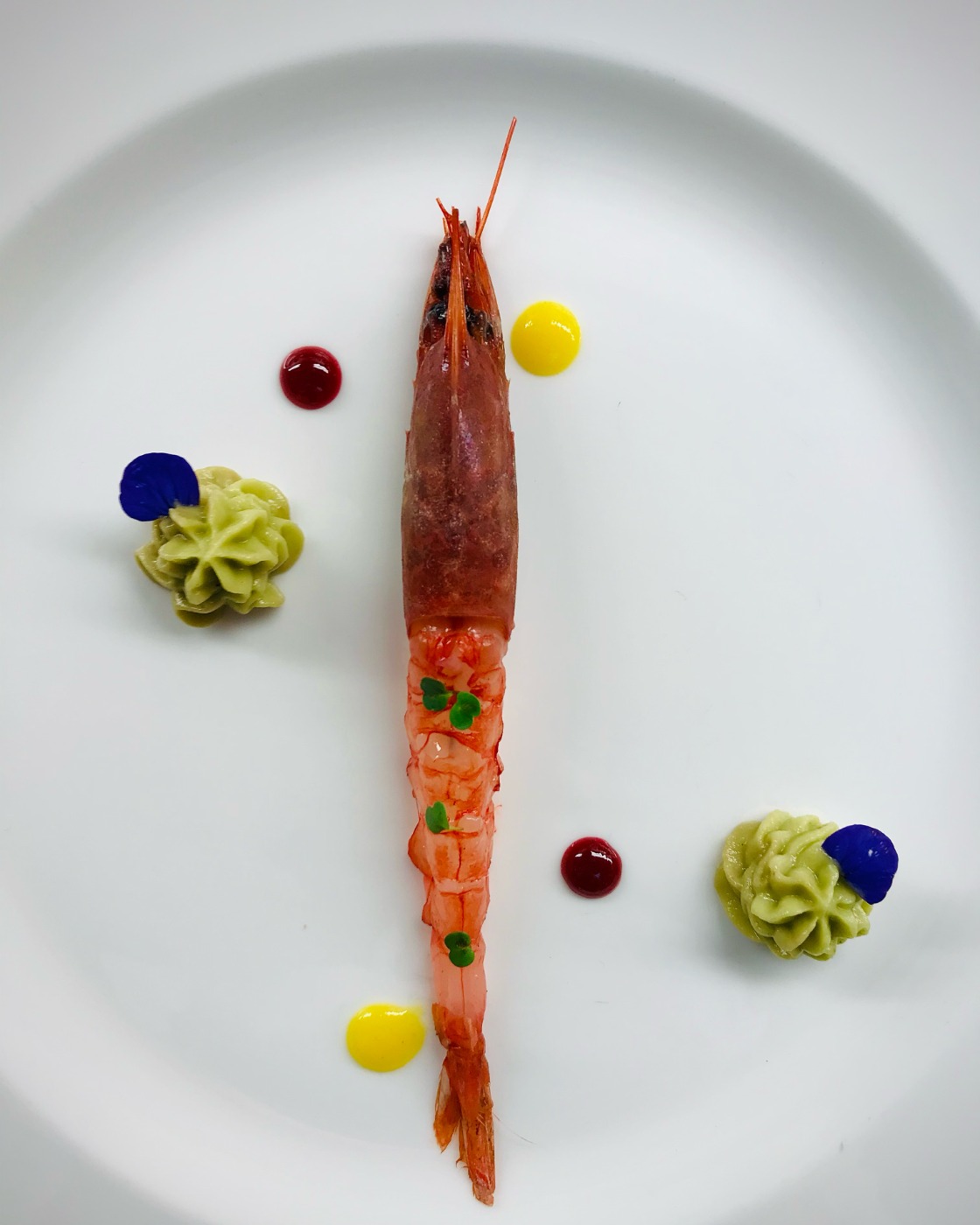 26CE0804-5206-4226-AE07-76C23975712B.jpeg 26CE0804-5206-4226-AE07-76C23975712B.jpeg