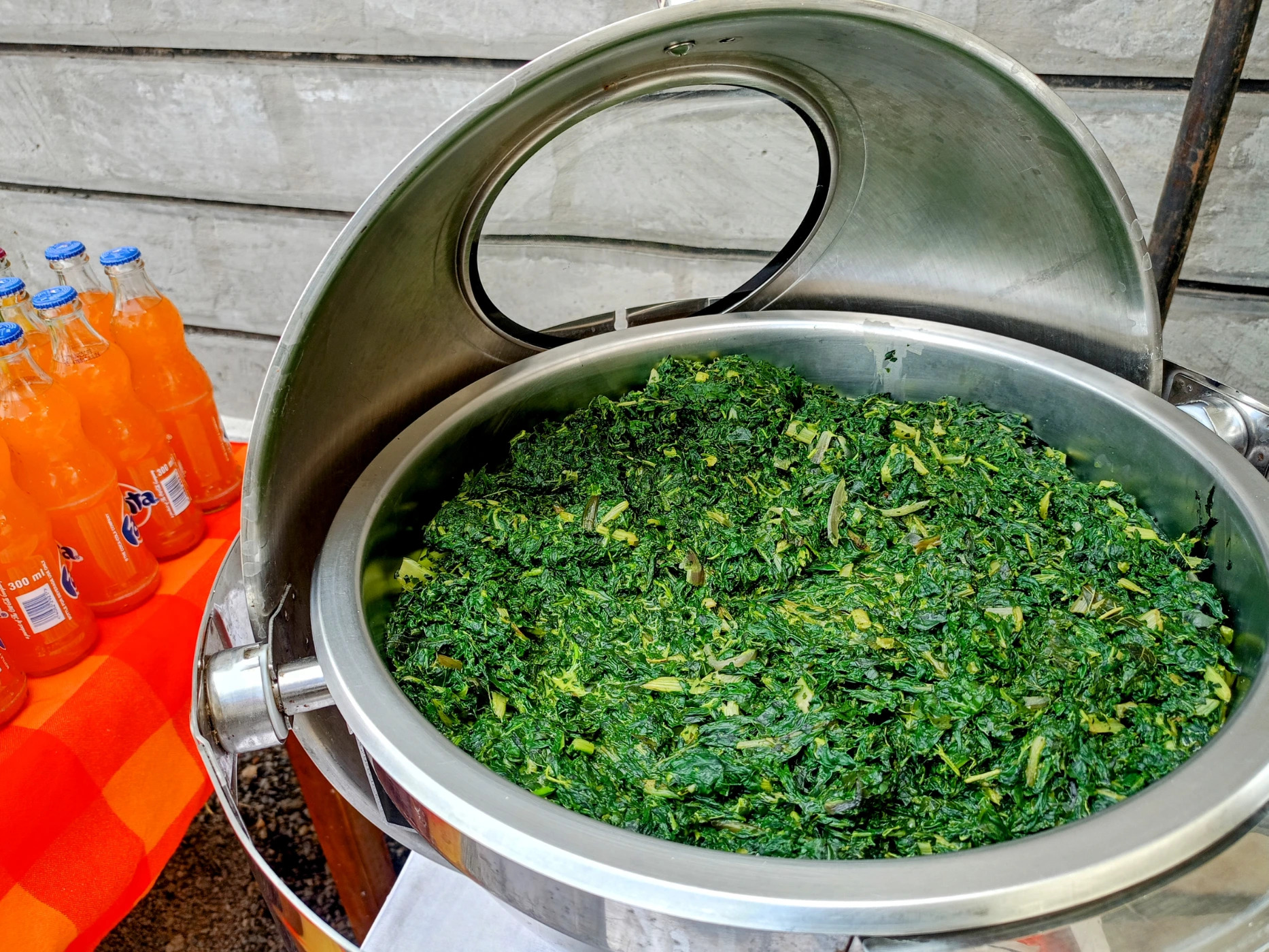 1000223948.jpg 1000223948.jpg