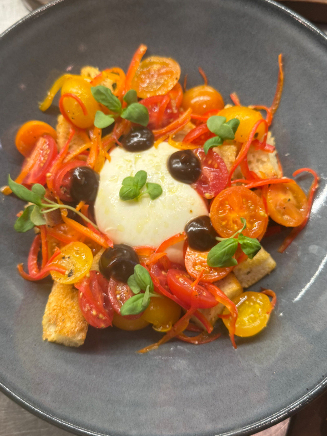 IMG_0148.jpeg IMG_0148.jpeg