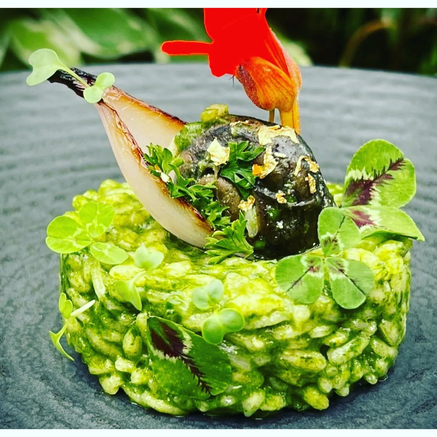 risotto.jpg