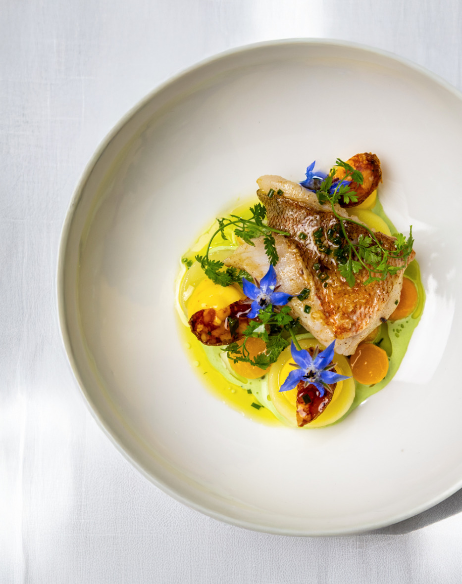 26022026-DZ0A0976 copie.jpeg