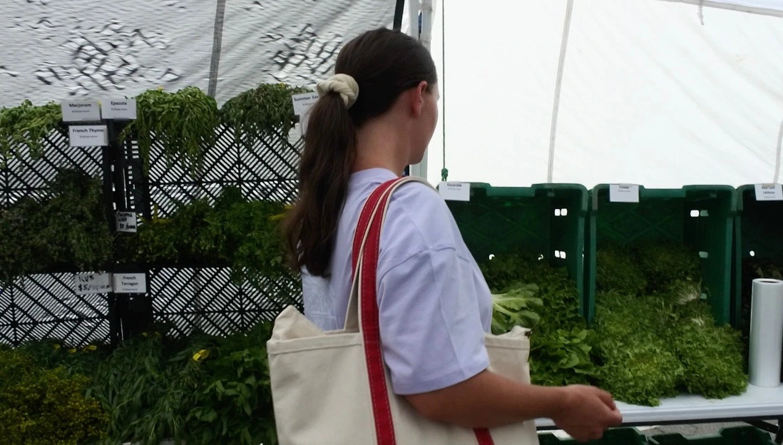 Screenshot 2025-06-25 at 10.27.59 PM.JPEG