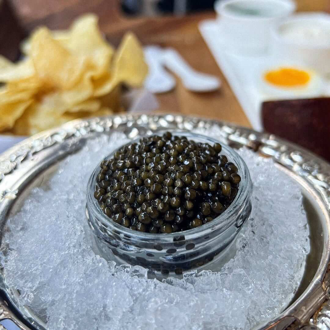 IMG_5563.jpeg