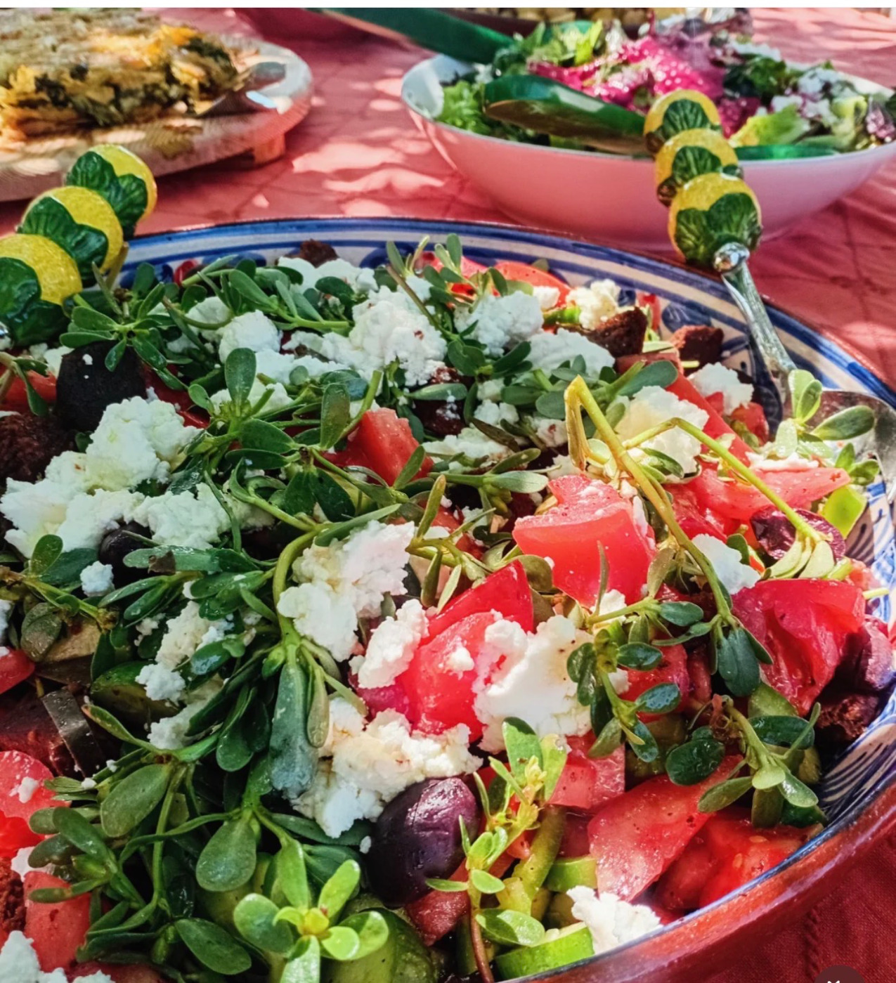 IMG_3768.jpeg IMG_3768.jpeg