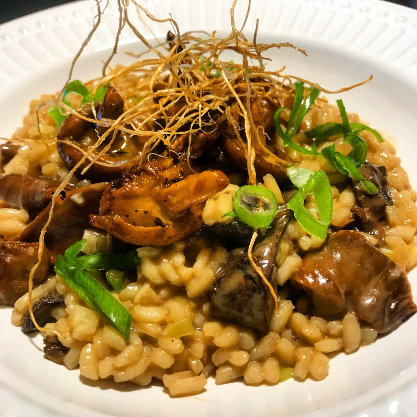 WhatsApp Image 2026-03-31 at 12.37.39.jpeg