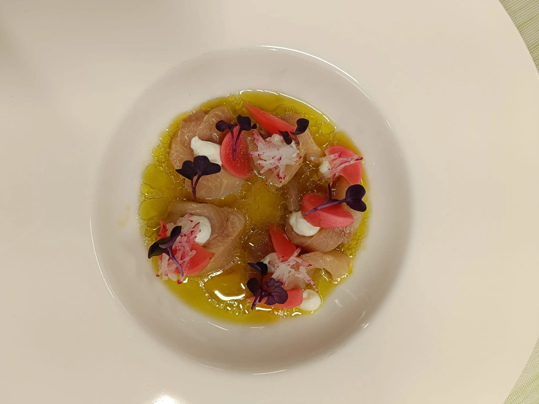 1000013392.jpg 1000013392.jpg