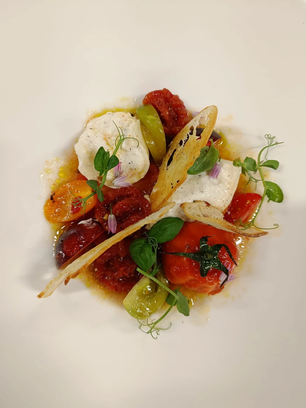 1000013395.jpg 1000013395.jpg