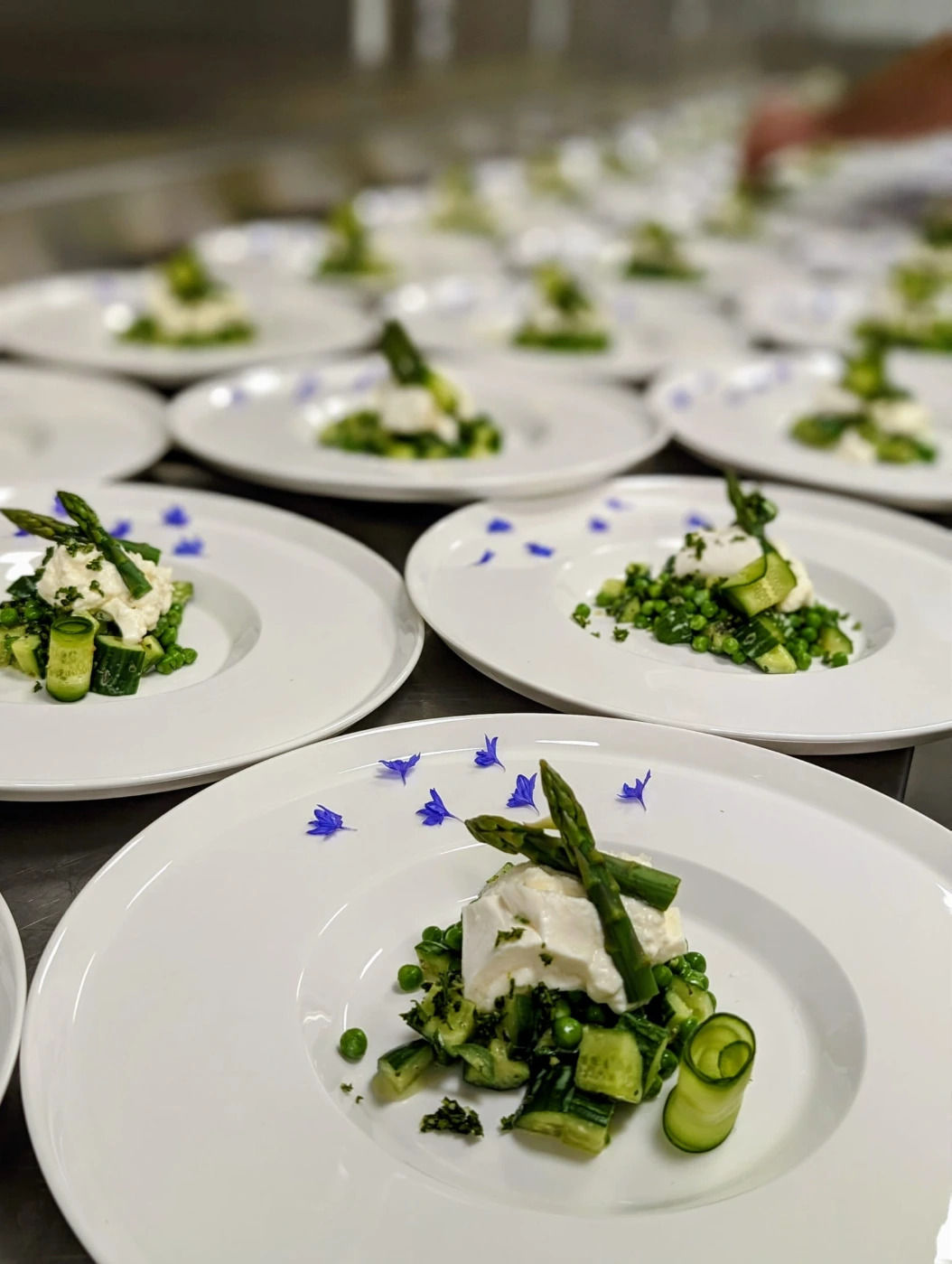 WhatsApp Image 2026-03-31 at 22.38.13.jpeg