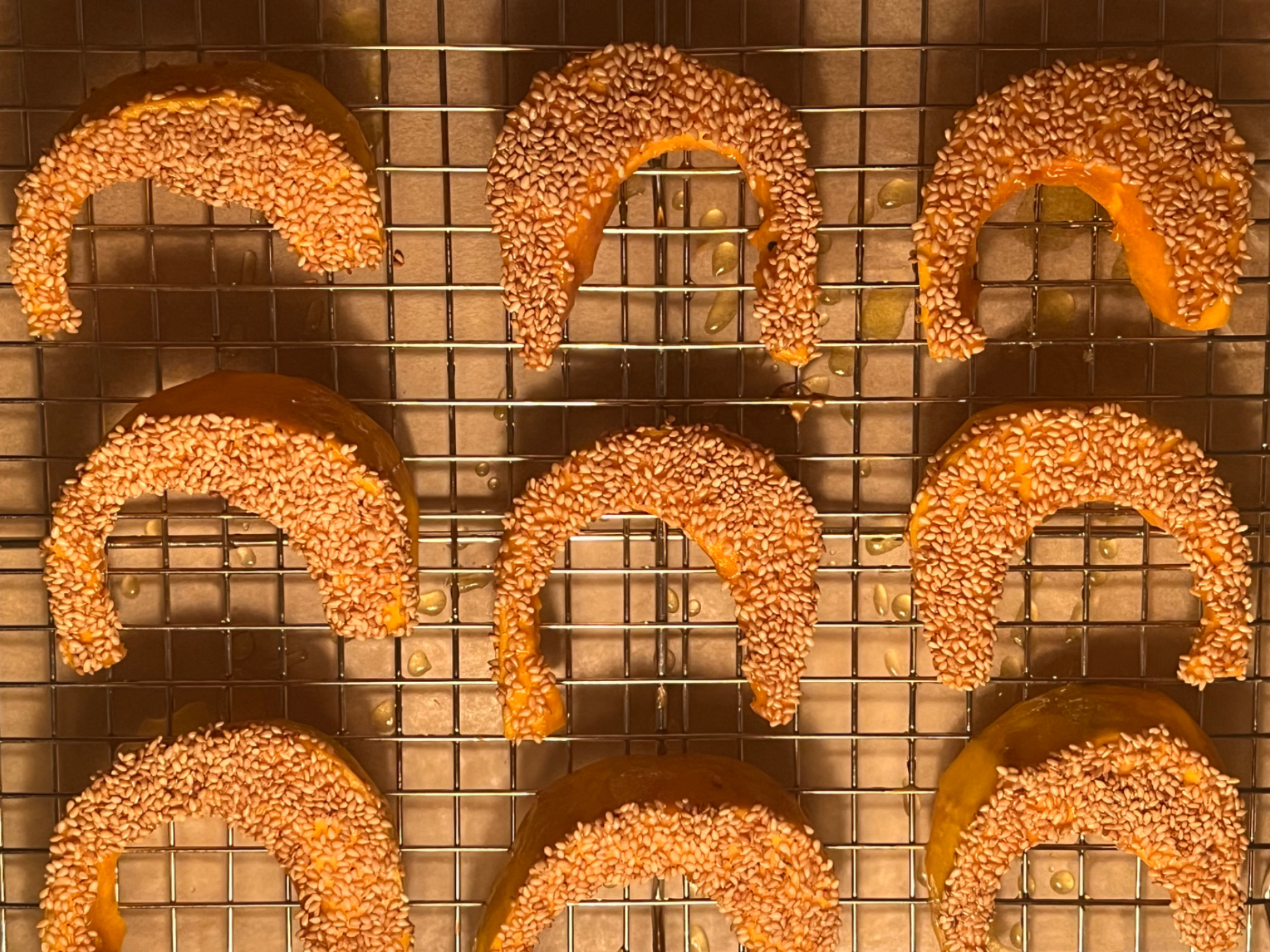 IMG_9245.jpeg IMG_9245.jpeg