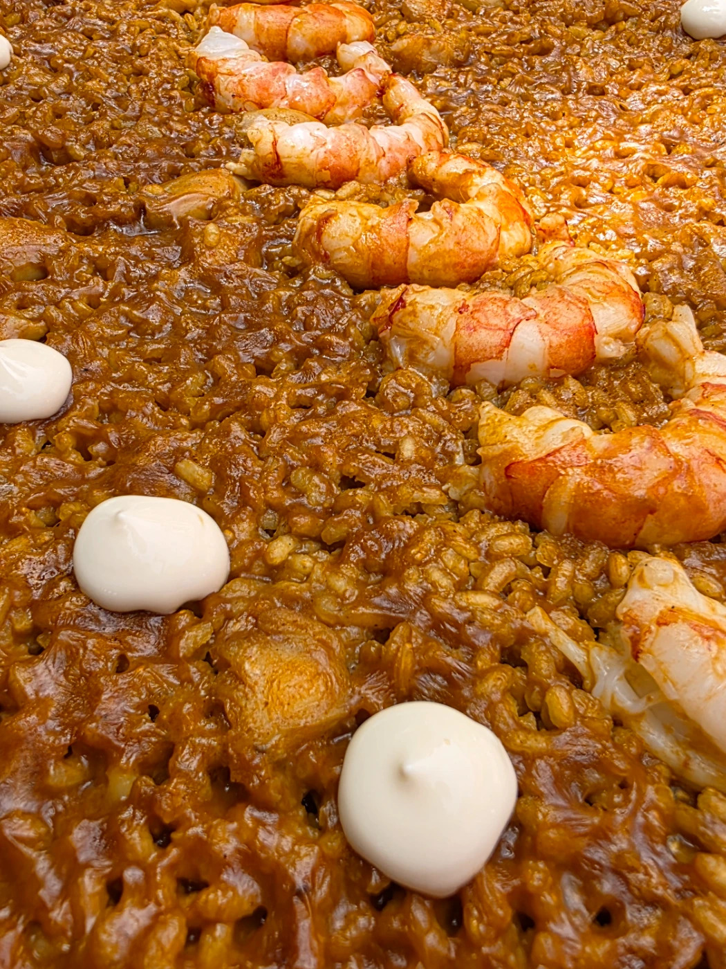 1000160236.jpg 1000160236.jpg