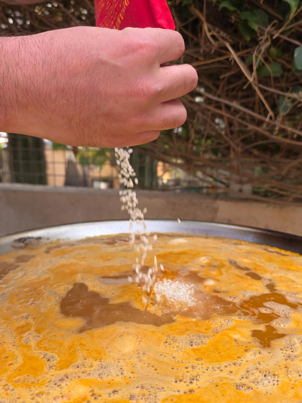 1000160217.jpg 1000160217.jpg