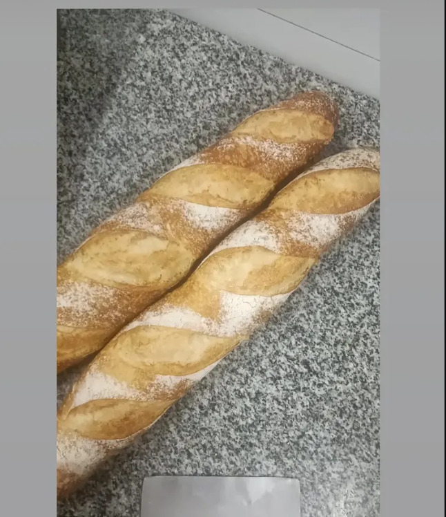 IMG_1497.png IMG_1497.png