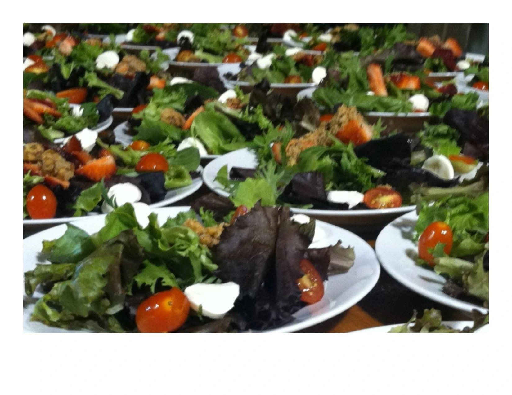 Plated salads.jpg Plated salads.jpg