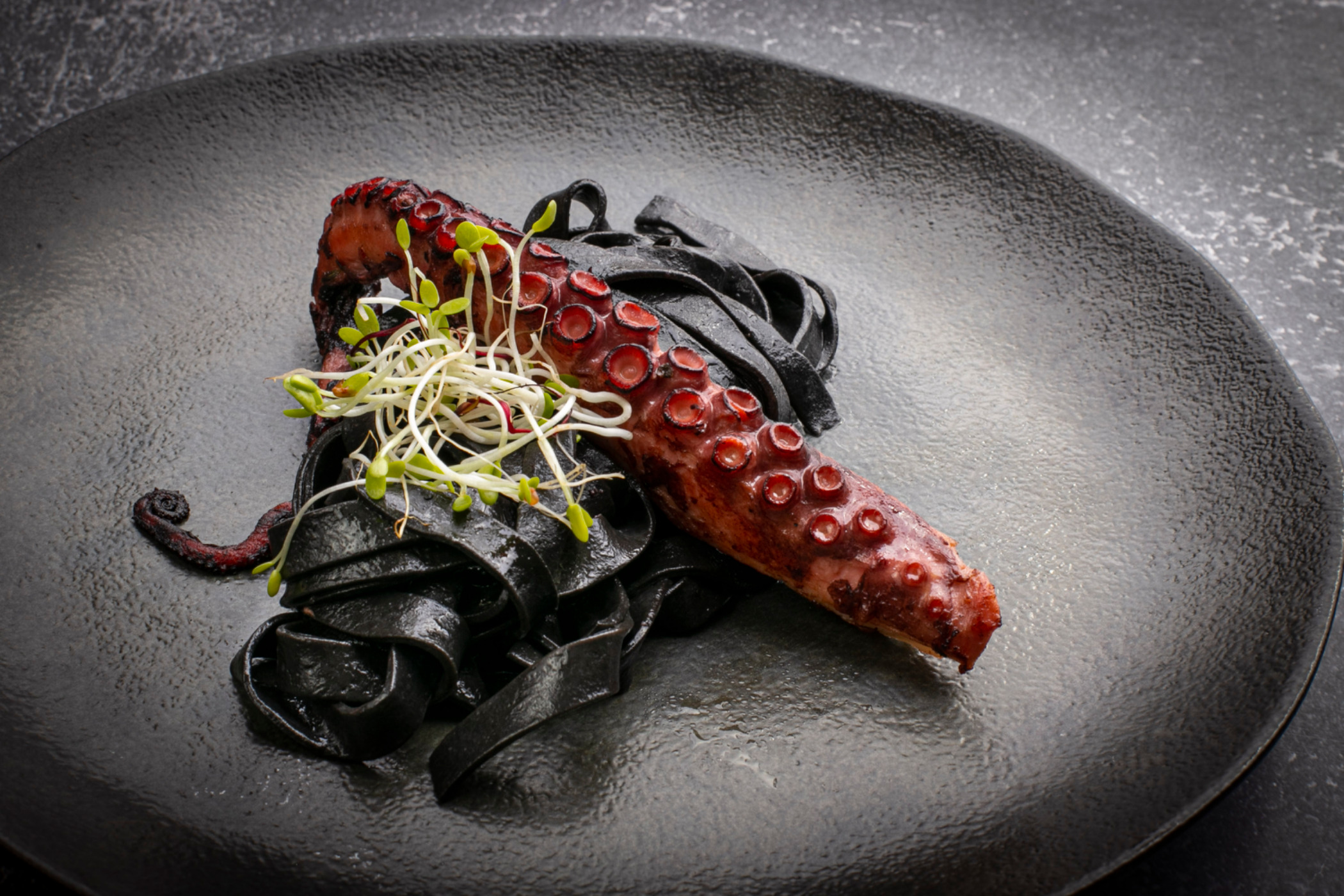 Eclat_B-82.jpg Eclat_B-82.jpg